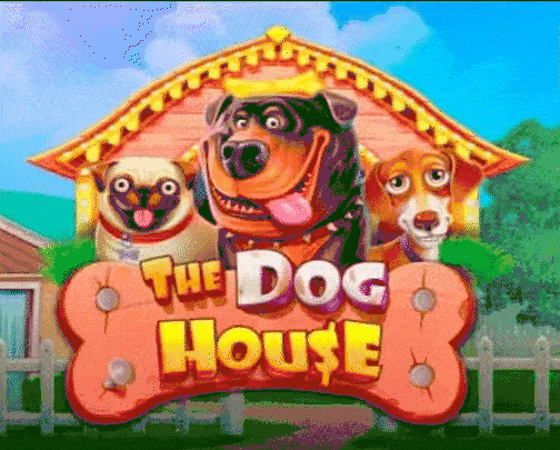 play the dog house in realzсasino casino